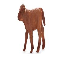Animal Planet Highland Buzağısı Model Figür