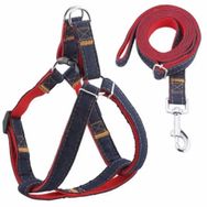 ANS 0907 1 cm 1-7 kg Kot Desenli Gezdirmeli Köpek Göğüs Tasması
