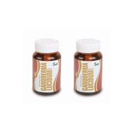 Anti Ganoderma Lucidium Reishi Mantarı 2x90 Kapsül