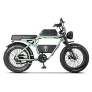 Ape Ryder Bonobo Premium Yeşil Elektrikli Bisiklet
