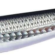 Apia Argo 160F 160 mm 48 gr 02 Konoshiro Yüzen Maket Balık