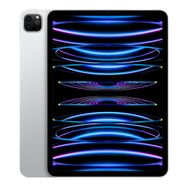 Apple iPad Pro 6.Nesil MNXV3TU/A Wi-Fi 512GB 12.9 inç Gümüş Tablet PC
