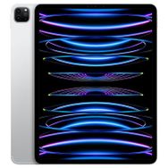 Apple iPad Pro 6. Nesil MP253TU/A Wi-Fi + Cellular 1TB 12.9 inç Gümüş Tablet PC