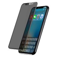 Apple iPhone XS Max 6.5 5D Privacy Cam Ekran Koruyucu