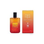Aqua Di Polo Gran Paradiso Volcano EDP 50 ml Erkek Parfüm