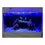 Aqualed Armatür Royal Mavi 60 cm Led Aydınlatma