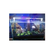Aqualed Karışık Renkli Beyaz Kırmızı Mavi 30 cm Led Aydınlatma