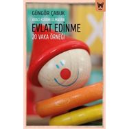 Aracı Kurum Olmadan Evlat Edinme Nika Yayınevi