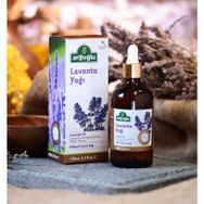 Arifoğlu 100 ml Lavanta Yağı