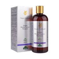 Arifoğlu 400 ml Çay Ağacı Ardıç Özlü Bitkisel Şampuan