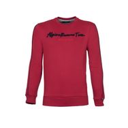 Arma K21124908002 Erkek Nakışlı Bisiklet Yaka Sweatshirt