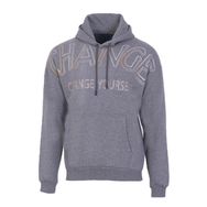 Arma K22254919201 Regular Fit Kapüşonlu Gri-G1 Erkek Sweatshirt