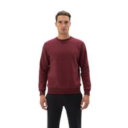Arma K24124909601 Regular Fit Bisiklet Yaka Bordo-B1 Erkek Sweatshirt