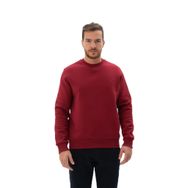 Arma K24124909601 Regular Fit Bisiklet Yaka Kırmızı-K1 Erkek Sweatshirt