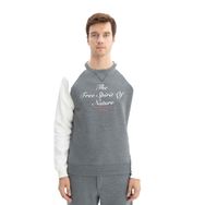 Arma K26124600301 Regular Fit Baskı Yazılı Bisiklet Yaka Gri-G1 Erkek Sweatshirt