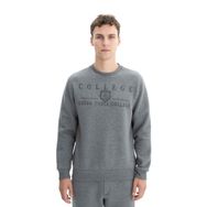 Arma K26124600801 Baskılı 3 İplik Şardonlu Regular Fit Bisiklet Yaka Gri-G1 Erkek Sweatshirt