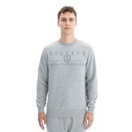 Arma K26124600801 Baskılı 3 İplik Şardonlu Regular Fit Bisiklet Yaka Gri-G10 Erkek Sweatshirt