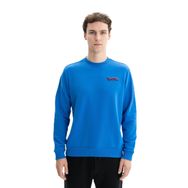 Arma K26124601301 Regular Fit Şardonsuz 3 İplik Bisiklet Yaka Saks Mavisi-SM1 Erkek Sweatshirt