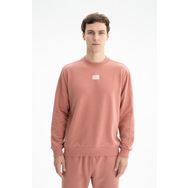Arma K26124601401 Sade Şık Regular Fit Şardonsuz 3 İplik Bisiklet Yaka Pembe-P3 Erkek Sweatshirt