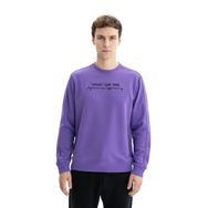 Arma K26124601601 Tarz Yazı Baskılı Regular Fit Şardonsuz 3 İplik Bisiklet Yaka Mor-M1 Erkek Sweatshirt