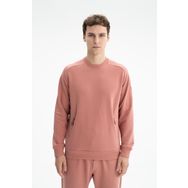 Arma K26124601901 Regular Fit Yandan Gizli Fermuarlı Şardonsuz 3 İplik Bisiklet Yaka Pembe-P3 Erkek Sweatshirt