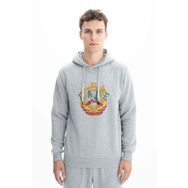 Arma K26254625801 Baskılı 3 İplik Regular Fit Cepsiz Kapüşonlu Gri-G10 Erkek Sweatshirt