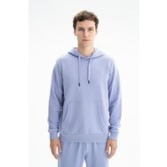 Arma K26254626401 Düz Şık Regular Fit Şardonsuz 3 İplik Kapşonlu Mor-M2 Erkek Sweatshirt