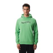 Arma K28254627001 Regular Fit Yazı Baskılı Dikişli Kanguru Cepli Yeşil-Y1 Erkek Sweatshirt