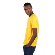 Arma Y22344451101 Sarı-S1 Bisiklet Yaka Erkek T-shirt