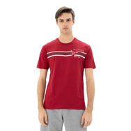 Arma Y25344869901 Bordo-B1 Büyük Beden Bisiklet Yaka Erkek T-shirt