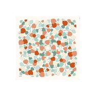 Armine 6083-15 Soft Turuncu Desenli Eşarp