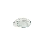 Aropi Plastik Gamma Steril 60 x 15 mm 50 Adet Petri Kutusu Kabı