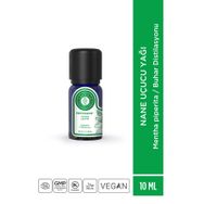 Arotolia 10 ml Nane Uçucu Yağı