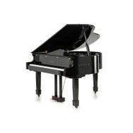Arsenberg Speyer AGP150B Siyah Grand Piyano