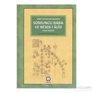 ARŞIV BELGELERI IŞIĞINDA SOMUNCU BABA VE NESEB-I ALISI YÜCE NESEBI - AHMED AKGÜNDÜZ