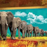 Art Bereket 1000 Parça Puzzle