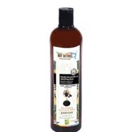 Art Detoks Aktif Karbon 700 ml Siyah Sarımsak Şampuanı