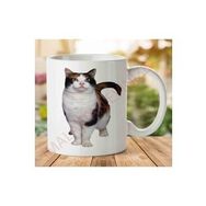 Art Hediye 01 Cat-Png-7 İki Tarafı Baskılı Kupa Bardak