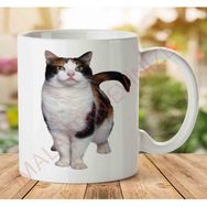 Art Hediye Cat-Png-7 İki Tarafı Baskılı Kupa Bardak