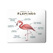 Art Hediye Flamingo Anatomisi Flamingo Anatomy Baskılı 23x19 cm Mouse Pad