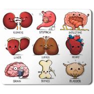 Art Hediye Organlar Vücut Organları Kalp Beyin Kemik Böbrek Baskılı 23x19 cm Mouse Pad
