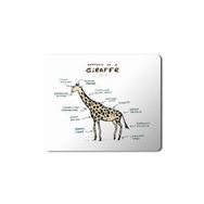 Art Hediye Zürafa Anatomi Giraffe Anatomy Baskılı 23x19 cm Mouse Pad