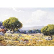 Artebella 23x34 cm Açık Zemin 1388V Büyük Kolay Transfer