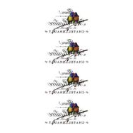 Artebella 5626V Design Kolay Transfer