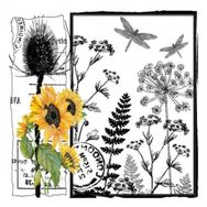 Artebella 5831V Home Design Kolay Transfer
