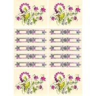 Artebella 915V Soft Transfer