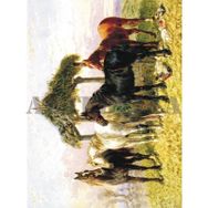 Artebella Kolay Transfer 1372V Ebru Boyası
