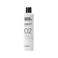 Artego Good Society 250 ml 02 Color Glow Renk Koruyucu Şampuan