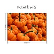 Artikel Balkabakları Notebook Sticker