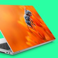 Artikel Çiçekte Balarısı Notebook Sticker